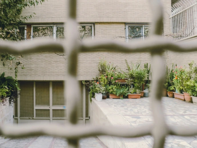 Potted plants on a patio behind a metal grate.